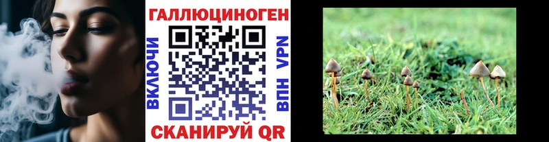 закладки  Лаишево  Псилоцибиновые грибы MAGIC MUSHROOMS 
